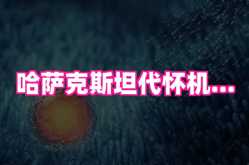 swisee孕网 1