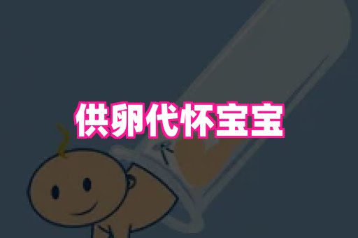 swisee孕网 2
