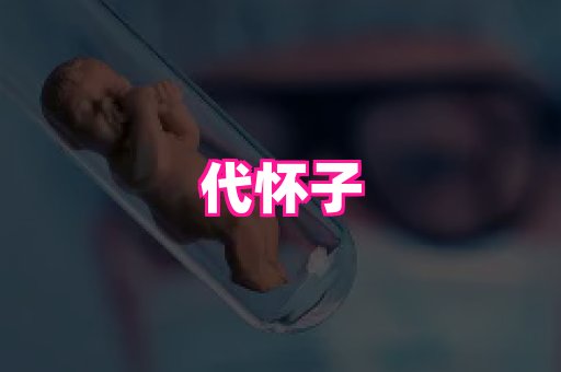 swisee孕网 3