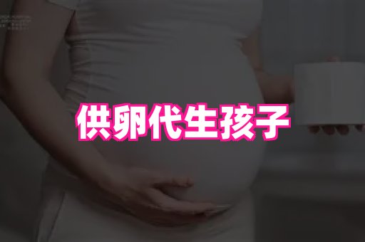 swisee孕网 4